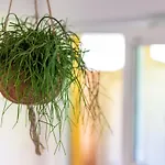 Ferienwohnung Neuper Bad Mitterndorf