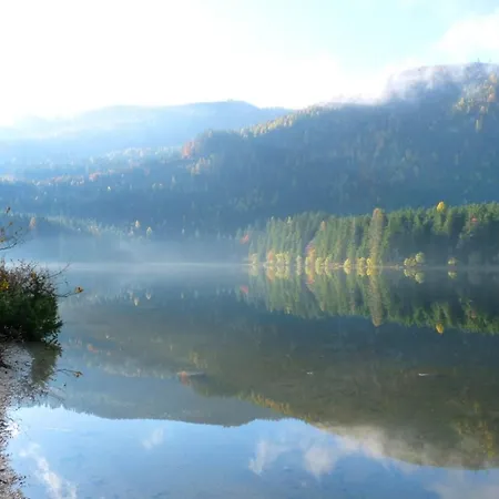 Neuper Bad Mitterndorf