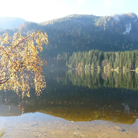 Apartman Neuper