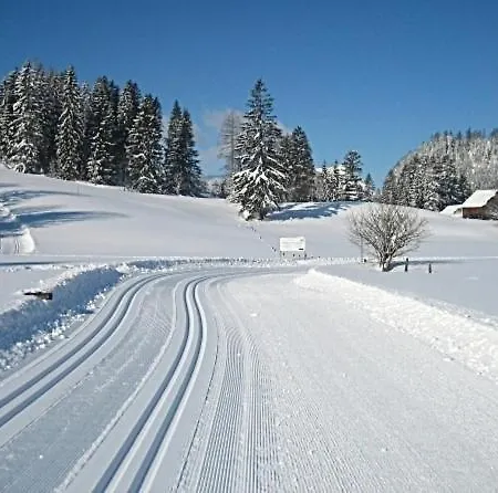 Апартаменты Neuper