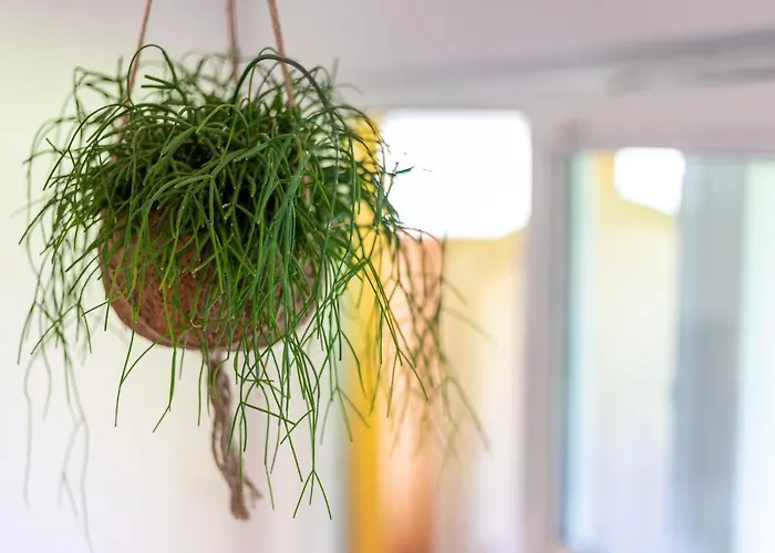 Neuper Bad Mitterndorf