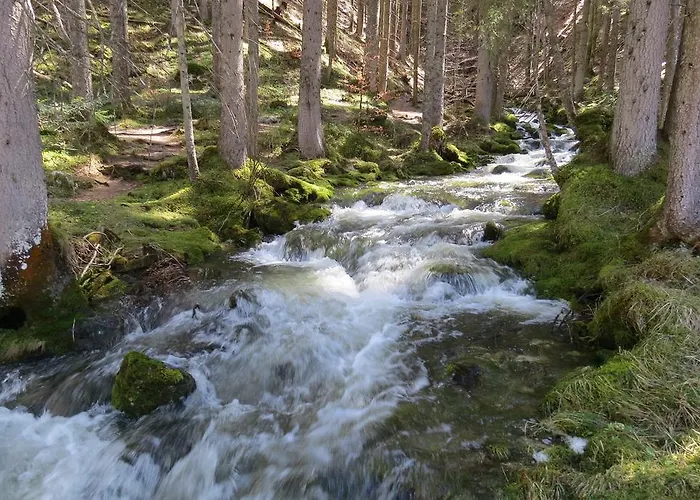 公寓 Neuper 巴德米滕多夫