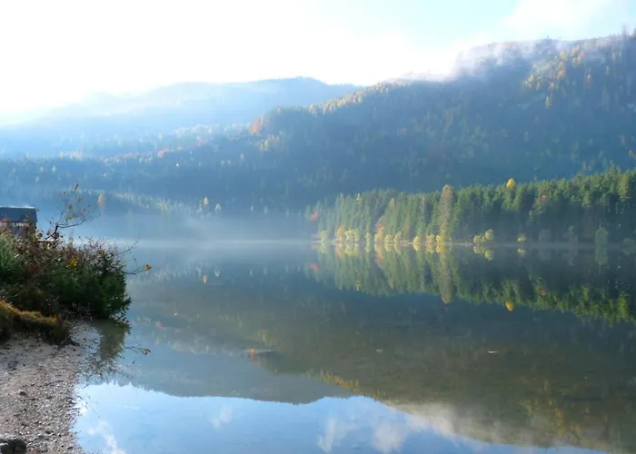 Neuper Bad Mitterndorf