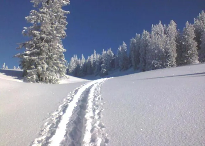Appartement Neuper Bad Mitterndorf